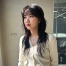 채아 시그니처 | 물결펌 | 레이어드컷 | 러프펌 | 히피펌 | 우이즈 헤어스튜디오