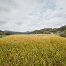 오돌개마을 이미지