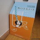 도그-in 하우스 이미지