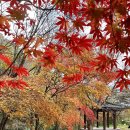 선운산도립공원(선운사 주차장 앞) 이미지