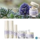 미케어셀 이미지