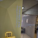 바이오포톤 | 강남다이어트 칼로리바 다이어트 개포점 누워서 살 빼는 머슬렌더 + 바이오포톤 후기