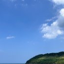 용문닭집 | 제주도 2일차 - 김재훈고사리육개장, 함덕해수욕장, 성이시돌목장, 동문시장, 용문닭집