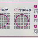 안경 봄 이미지