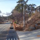 솔향기 힐링 하우스 이미지