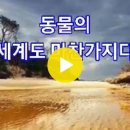 신의 침묵 외 4건 [장상민대표님의 카톡에서] 이미지