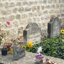 베르사유 | 파리 근교 하루 완벽 코스✨ 지베르니·고흐마을·베르사유 투어 솔직 후기 &amp; 꿀팁 총정리