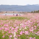 서천숯불구이