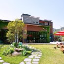 카페그꽃 이미지