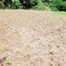 덕림농장 이미지