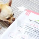 (주)인섹트바이오텍 이미지