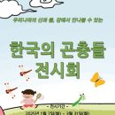 부평숲 인천나비공원 전시실 이미지