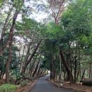 제26호 어린이공원 이미지