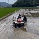 바로미 전국매일신문