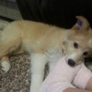 에그하우스 이미지