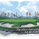 (주)대지골프 이미지
