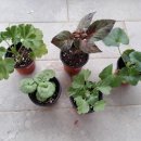 프럼스마일 이미지