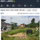 전원농장 | 천안자투리땅 임장후기,5살과 임장,시장저수지,2021타경4955