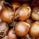 먹방농장1 이미지