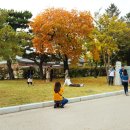 연세대학교 대학원 이미지