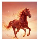 편안한 삶을 위한 풍수지리와 명리학 | 2026년 시험 합격운 높은 띠 대공개