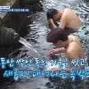 궁전투 이미지