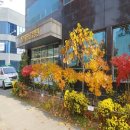 테크노요양병원 이미지