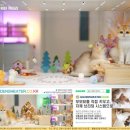 광주캐터리 이미지