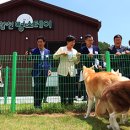new AI를 활용한 이미지, 숏폼영상 제작 정책브리핑