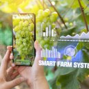 스마트 행정사 이미지