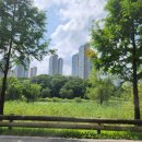 황강종주로-2 | 74) 창주 이성길(滄洲 李成吉) : 조선 의병 창주의 예술혼, 무이구곡의 이상향에 담기다.