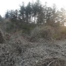 금대리828 이미지