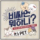 이츠펫 본점 이미지