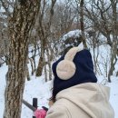 [241220]눈미새는 왜 눈을 좋아할까(무주)
