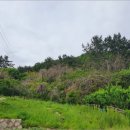 회성동267 이미지