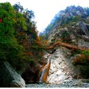 오천한약 이미지