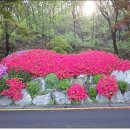 광교호수로 이미지