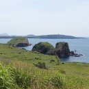 제주도 골프장 완벽 가이드 (자연 뷰, 코스 정보, 후기)