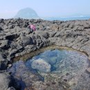 제주의 이유 이미지