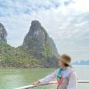 신원농장 | [하롱베이 크루즈 당일투어 추천] Amethyst 가격, 예매 방법, 점심식사 뷔페 후기, 일정 및 코스 총정리