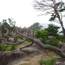 중대부속고등학교 집단급식소 | 여름날의 산행 (1部) - 삼척 천은사에서 쉰움산(오십정)까지