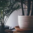 정신빌딩 이미지