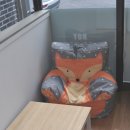 로이안경원 네이버블로그