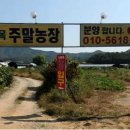 나들목 농장2 Daum카페