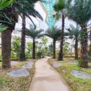 포근한 여백 이미지