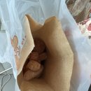 스마일찹쌀꽈배기 | [스마일찹쌀꽈배기 목포점] 내돈내산 후기