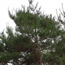 조형마트 이미지