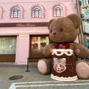 (주)이트리얼 | C뷰티 플라워노즈 성수 팝업스토어 총정리🌸 웨이팅·가격·품절·이벤트