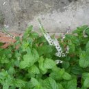 대아의료기 이미지