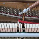 남춘천중학교 이미지